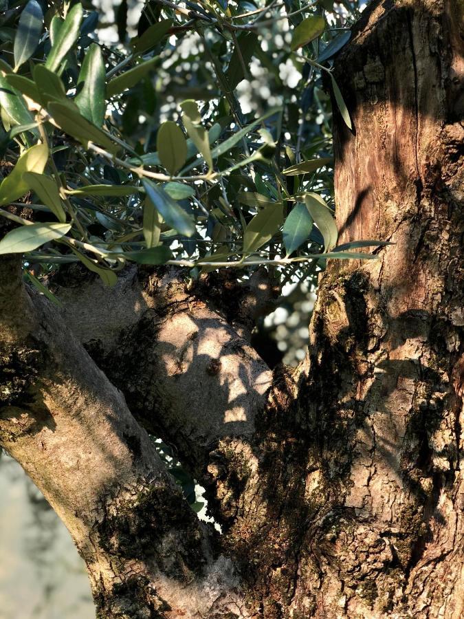 Ca Sander Caprino Veronese Esterno foto